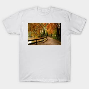 Autumn in the park T-Shirt